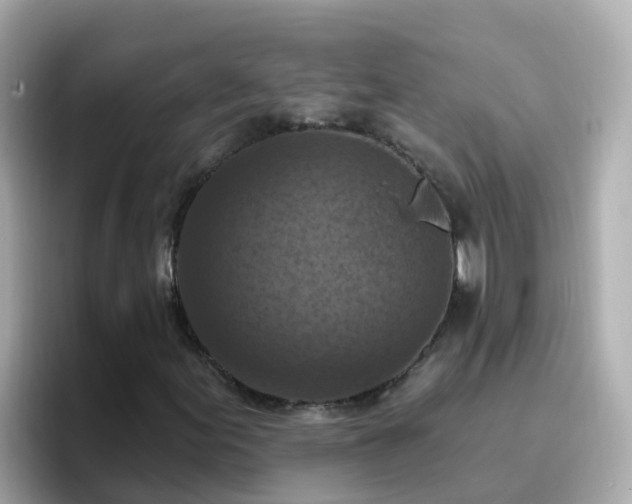 X0000096681155200802121206