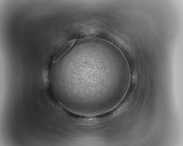 X0000096681156200802121206