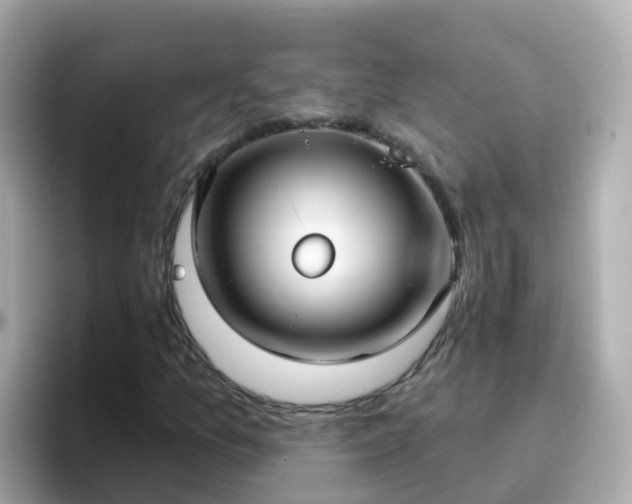 X0000096681157200802121206