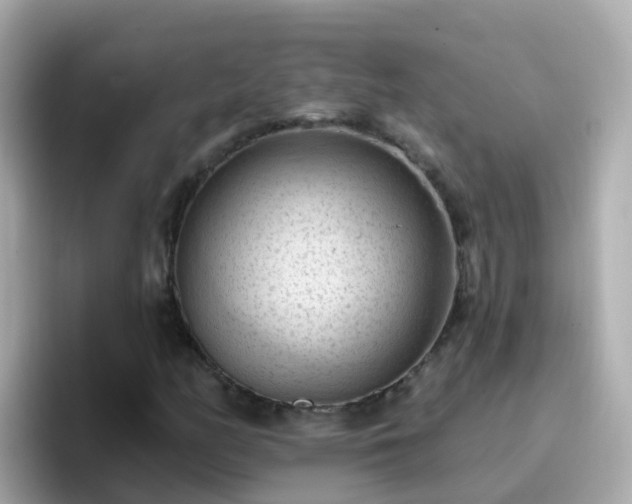 X0000096681158200802121206