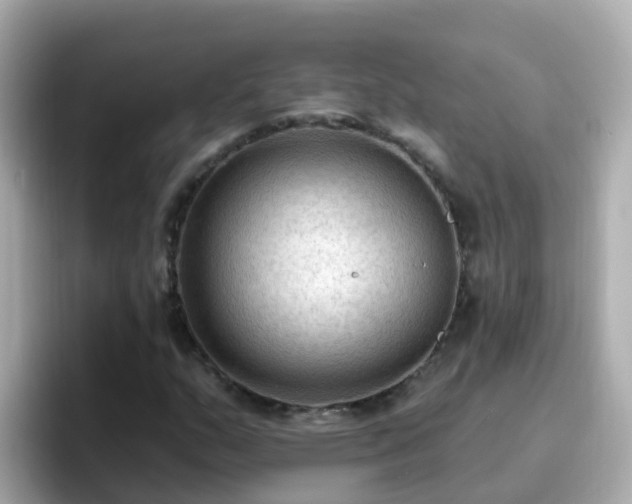X0000096681159200802121206