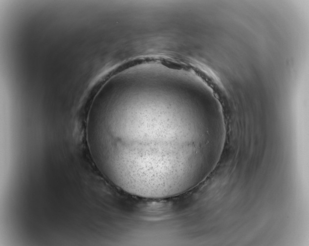 X0000096681160200802121206