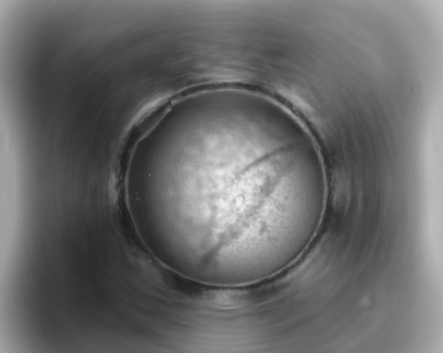 X0000096681163200802121206