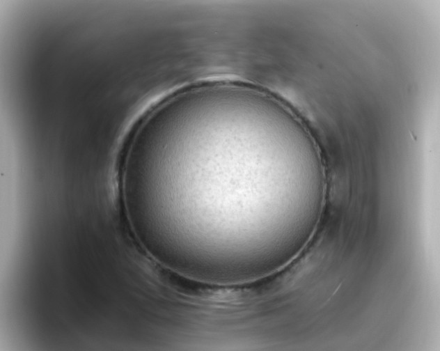 X0000096681167200802121206