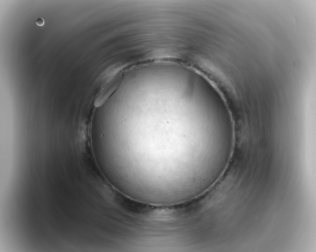 X0000096681169200802121206