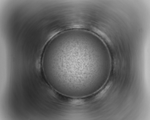 X0000096681170200802121206