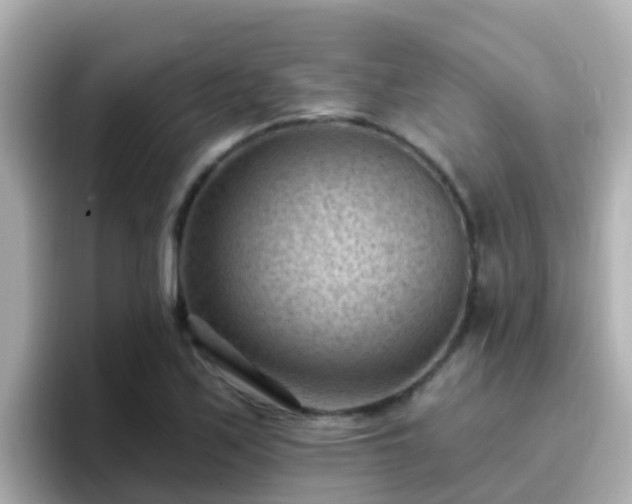 X0000096681171200802121206