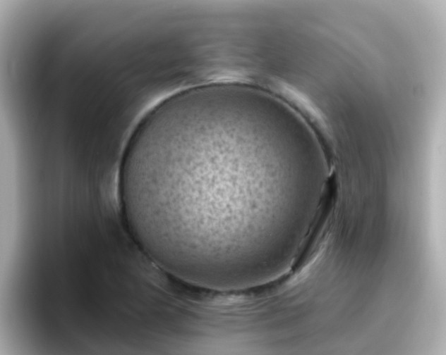 X0000096681174200802121206