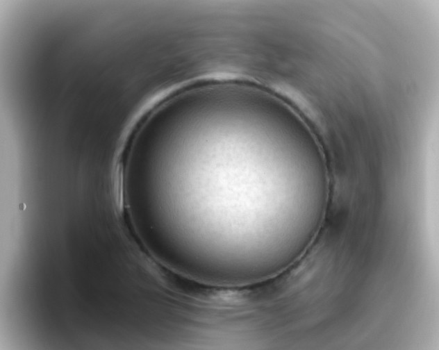 X0000096681175200802121205