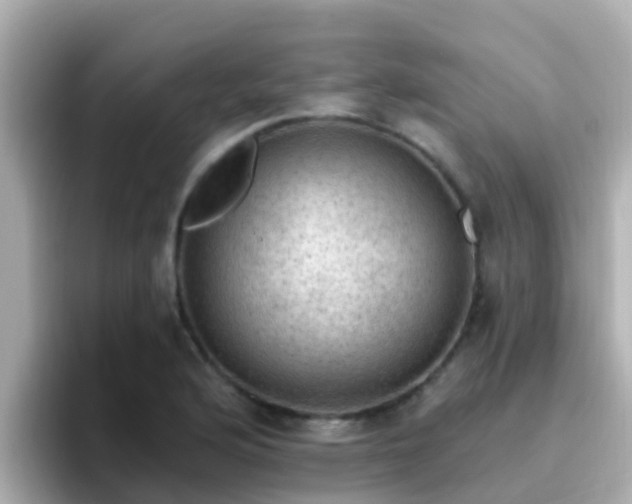 X0000096681176200802121205