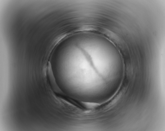 X0000096681177200802121205