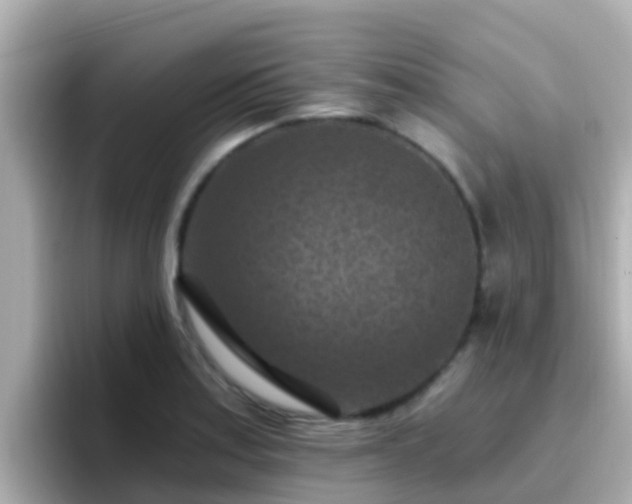 X0000096681179200802121205