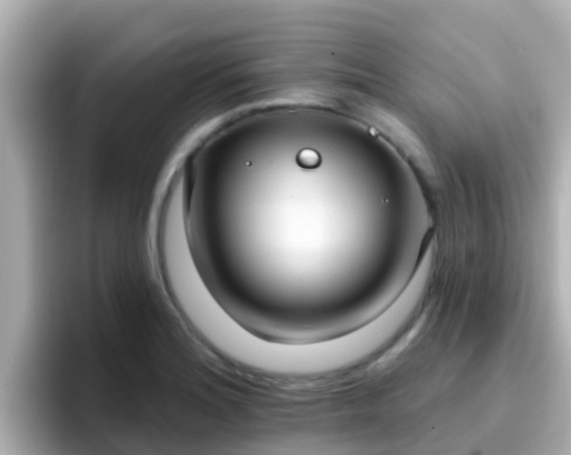 X0000096681180200802121205