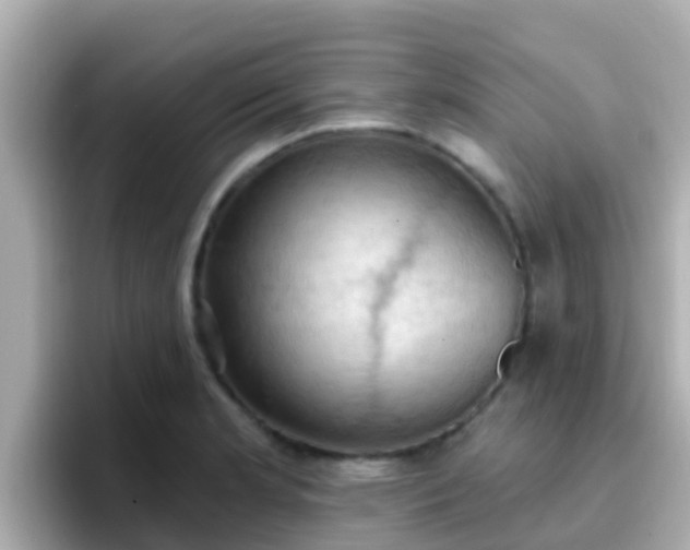 X0000096681181200802121205