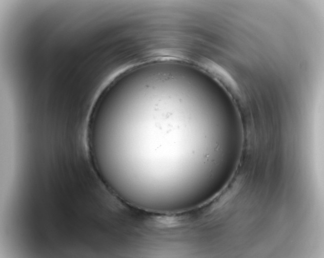 X0000096681182200802121205