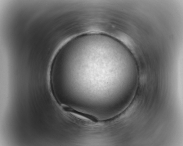 X0000096681183200802121205