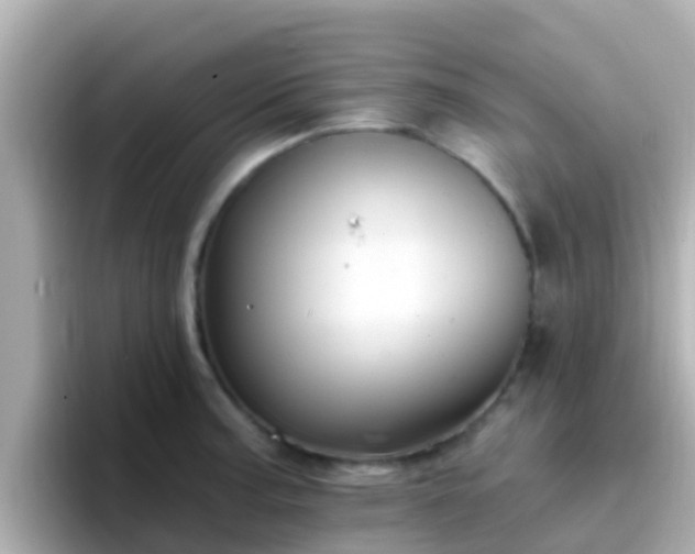 X0000096681187200802121205
