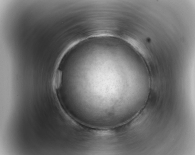 X0000096681189200802121205