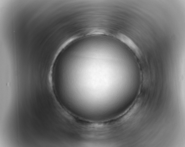 X0000096681190200802121205
