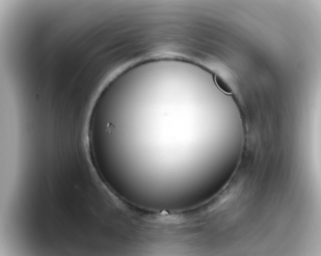 X0000096681191200802121205