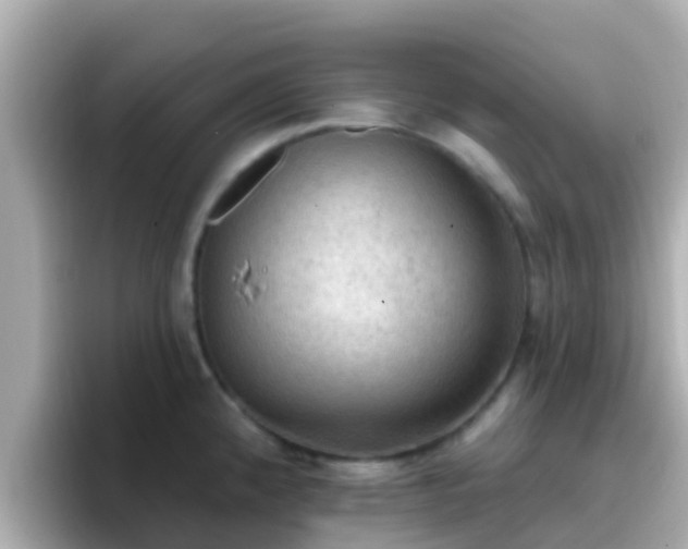 X0000096681192200802121205