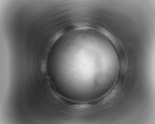 X0000096681193200802121205