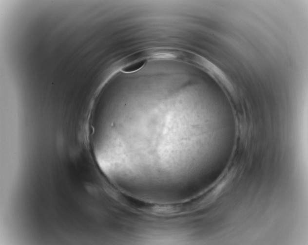 X0000096681194200802121205