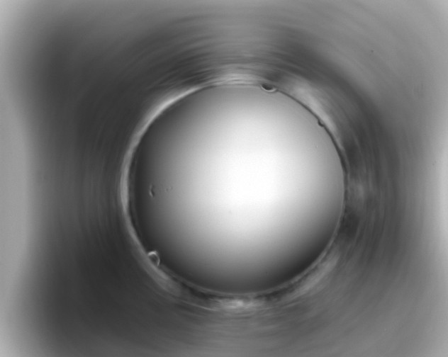 X0000096681195200802121205