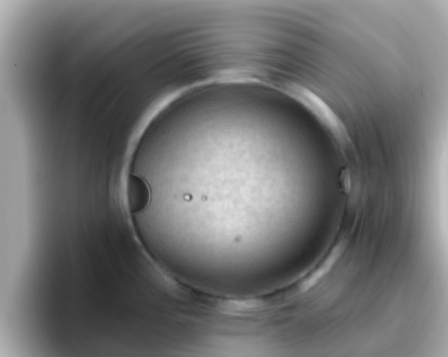 X0000096681196200802121205