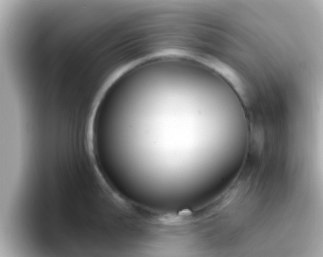 X0000096681199200802121205