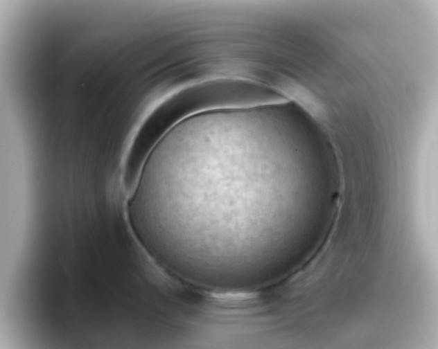 X0000096681200200802121205