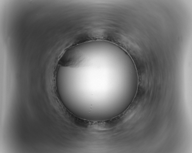 X0000096681201200802121205