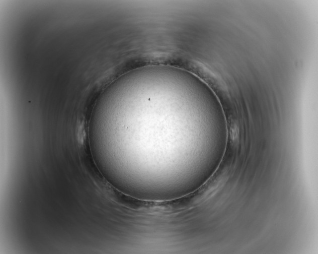 X0000096681204200802121205