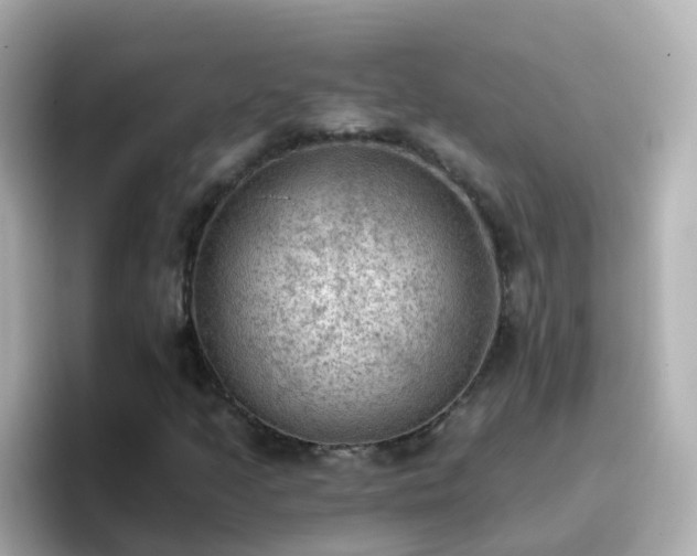 X0000096681205200802121205