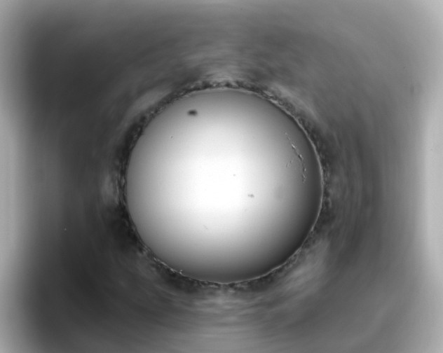 X0000096681207200802121205