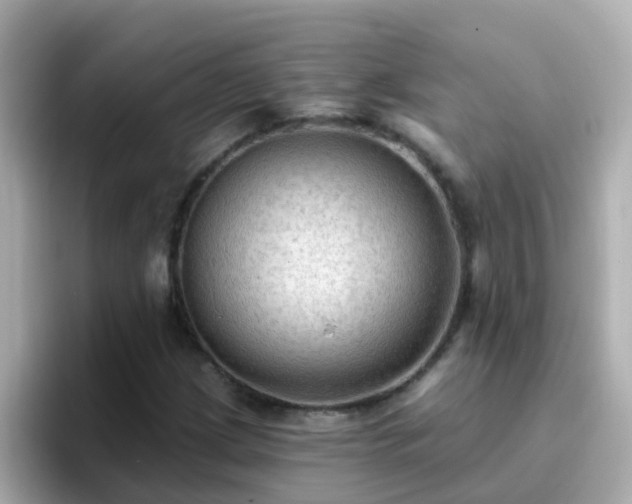 X0000096681209200802121205
