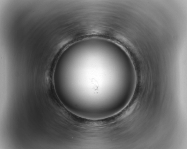X0000096681210200802121205