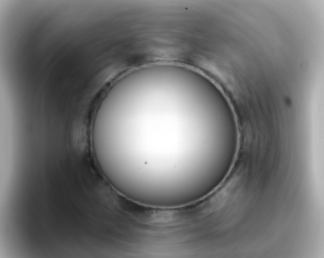 X0000096681211200802121205