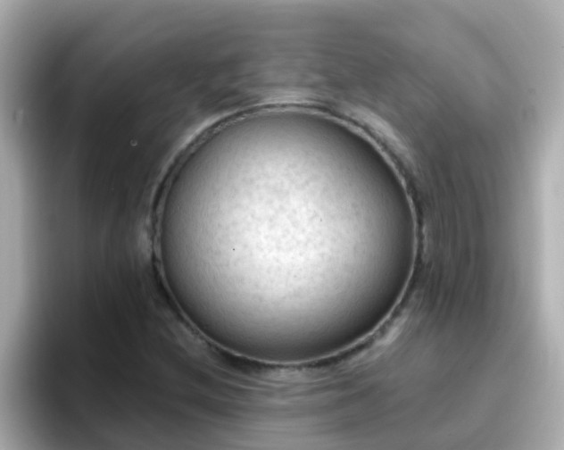 X0000096681212200802121205