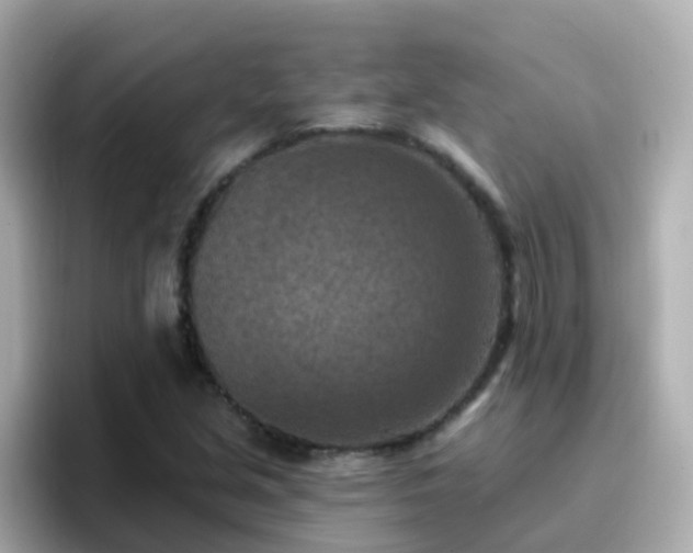 X0000096681213200802121205