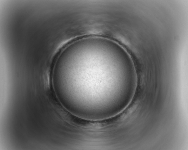 X0000096681214200802121205