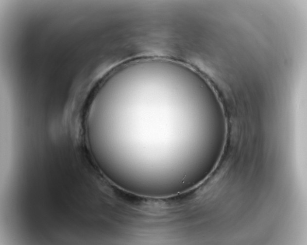 X0000096681215200802121205