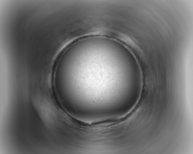 X0000096681216200802121205
