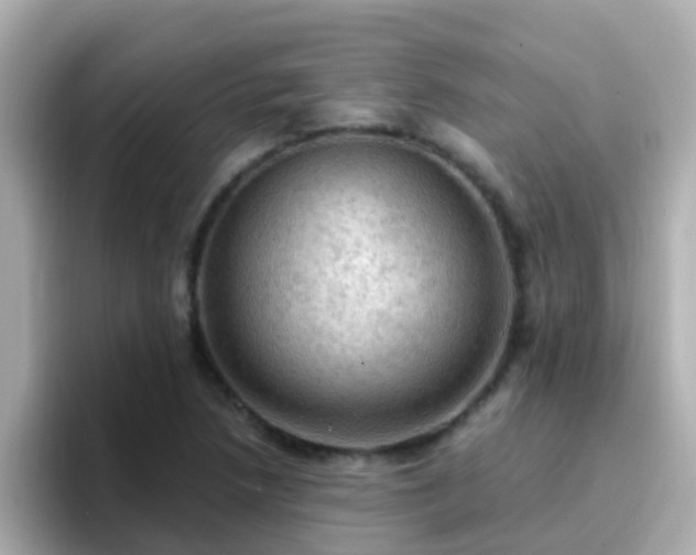 X0000096681218200802121205