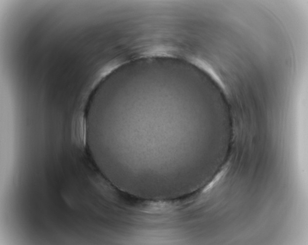 X0000096681219200802121205