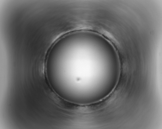 X0000096681220200802121205
