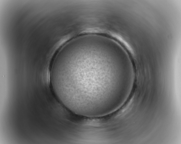 X0000096681221200802121205