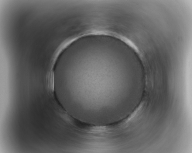 X0000096681223200802121205