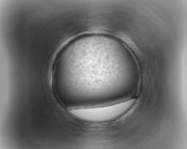 X0000096681224200802121205