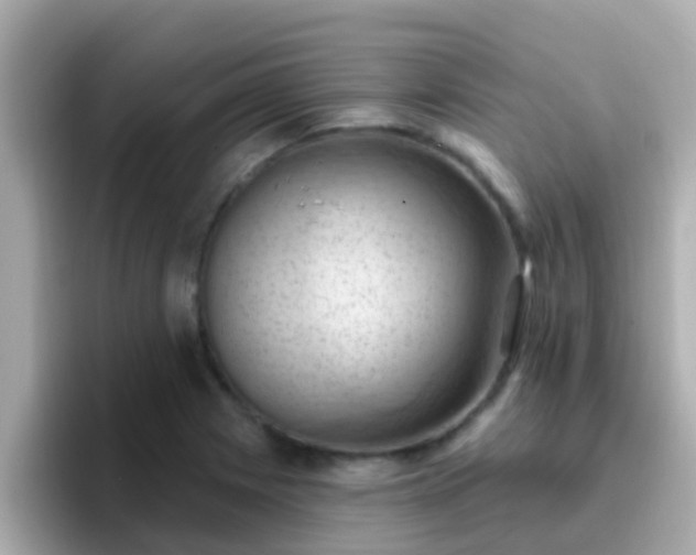 X0000096681225200802121205